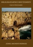 Bibliologia Do Antigo E Novo Testamento (eBook, PDF)