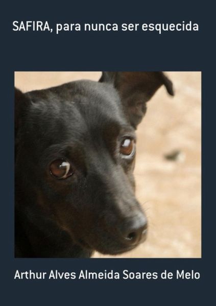 Safira, Para Nunca Ser Esquecida (eBook, PDF) Safira, Para Nunca Ser Esquecida (eBook, PDF)