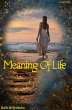 Meaning Of Life (eBook, ePUB) - Bild 1