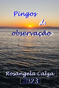Cover Pingos De Observação (eBook, PDF)
