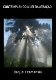 Contemplando A Lei Da Atração (eBook, PDF)