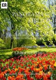 Panorama Bíblico (eBook, PDF)