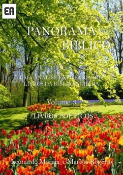 Cover Panorama Bíblico (eBook, PDF)