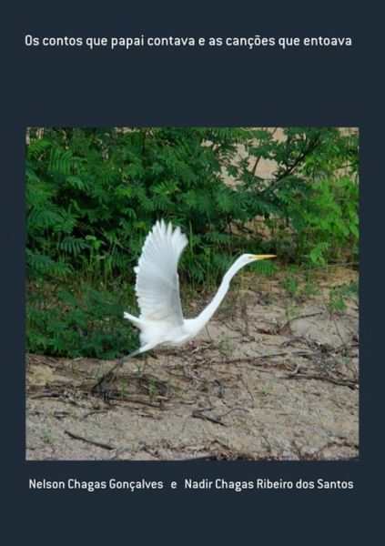 Os Contos Que Papai Contava E As Canções Que Entoava (eBook, PDF)