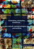 Exemplos, Exceções, Metáforas... (eBook, PDF)