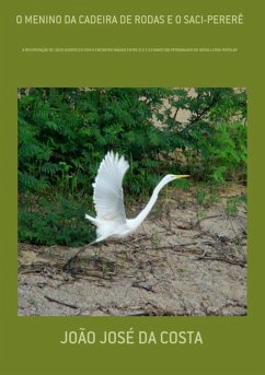 Cover O Menino Da Cadeira De Rodas E O Saci-pererê (eBook, PDF)