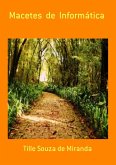 Macetes De Informática (eBook, ePUB)