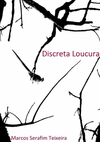 Discreta Loucura (eBook, ePUB)