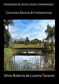 Remediação De Solos E Águas Contaminadas (eBook, ePUB)