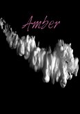 Amber (eBook, ePUB)
