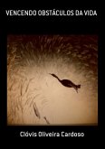 Vencendo Obstáculos Da Vida (eBook, PDF)