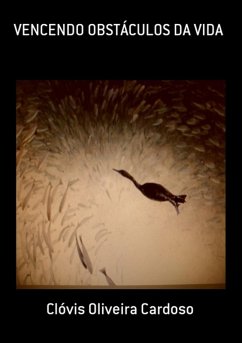 Cover Vencendo Obstáculos Da Vida (eBook, PDF)