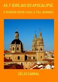 As 7 Igrejas Do Apocalipse (eBook, ePUB)