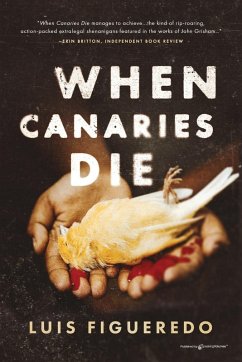 When Canaries Die - Figueredo, Luis