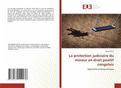 La protection judiciaire du mineur en droit positif congolais Cover La protection judiciaire du mineur en droit positif congolais