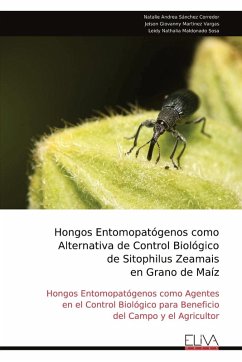 Cover Hongos Entomopatógenos como Alternativa de Control Biológico de Sitophilus Zeamais en Grano de Maíz