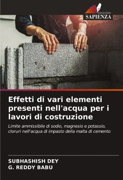 Cover Effetti di vari elementi presenti nell'acqua per i lavori di costruzione