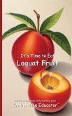 It's Time to Eat Loquat Fruit It's Time to Eat Loquat Fruit