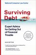 Surviving Debt (eBook, ePUB) - Bild 1