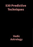 530 Predictive Techniques (eBook, ePUB)