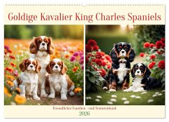 Cover Goldige Kavalier King Charles Spaniels (Wandkalender 2026 DIN A2 quer), CALVENDO Monatskalender