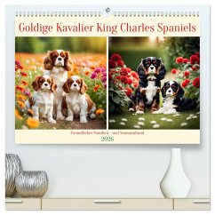 Cover Goldige Kavalier King Charles Spaniels (hochwertiger Premium Wandkalender 2026 DIN A2 quer), Kunstdruck in Hochglanz