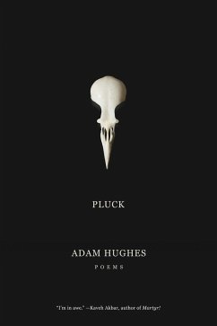 Pluck - Hughes, Adam