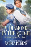 A Diamond in the Rough A Diamond in the Rough