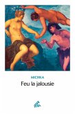 Feu la jalousie (eBook, ePUB) Feu la jalousie (eBook, ePUB)