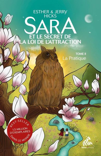 Sara et le secret de la loi de l'attraction : Tome 2, La Pratique (eBook, ePUB)
