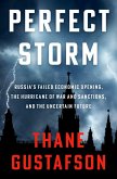 Perfect Storm (eBook, ePUB)