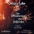 Die Offenbarung der Schleicher - Folge 6 (MP3-Download)
