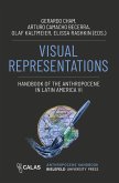 Visual Representations - Handbook of the Anthropocene in Latin America VI (eBook, PDF)