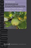 Zerrissene Zugehörigkeiten (eBook, PDF)