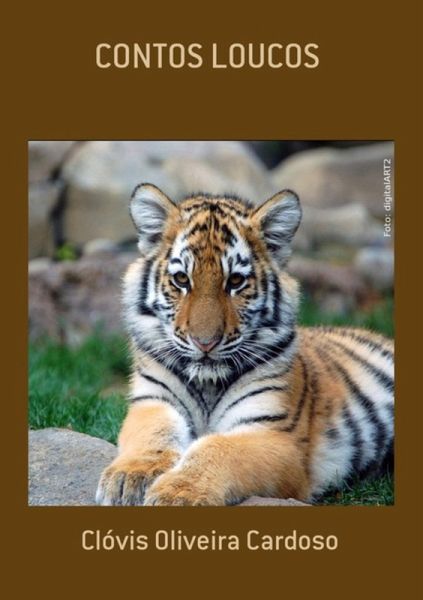 Contos Loucos (eBook, PDF)