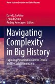 Navigating Complexity in Big History