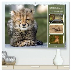 Raubkatzen - groß & klein (hochwertiger Premium Wandkalender 2026 DIN A2 quer), Kunstdruck in Hochglanz Raubkatzen - groß & klein (hochwertiger Premium Wandkalender 2026 DIN A2 quer), Kunstdruck in Hochglanz