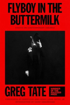 Cover Flyboy in the Buttermilk