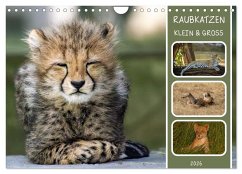 Raubkatzen - groß & klein (Wandkalender 2026 DIN A4 quer), CALVENDO Monatskalender Raubkatzen - groß & klein (Wandkalender 2026 DIN A4 quer), CALVENDO Monatskalender