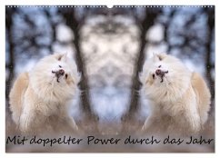 Mit doppelter Power durch das Jahr (Wandkalender 2026 DIN A2 quer), CALVENDO Monatskalender