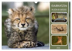 Raubkatzen - groß & klein (Wandkalender 2026 DIN A3 quer), CALVENDO Monatskalender Raubkatzen - groß & klein (Wandkalender 2026 DIN A3 quer), CALVENDO Monatskalender