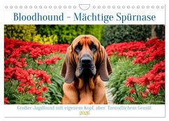 Cover Bloodhound - Mächtige Spürnase (Wandkalender 2026 DIN A4 quer), CALVENDO Monatskalender