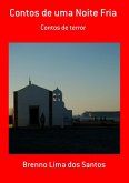Contos De Uma Noite Fria (eBook, PDF) Contos De Uma Noite Fria (eBook, PDF)