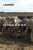 Lanares (eBook, PDF)