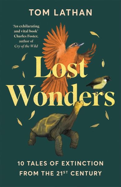 Lost Wonders Lost Wonders