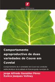 Comportamento agroproductivo de duas variedades de Couve em Cuvelai Comportamento agroproductivo de duas variedades de Couve em Cuvelai