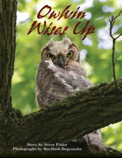 Owlvin Wises Up - Pixley, Joyce