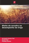 Efeito do enxofre no desempenho do trigo