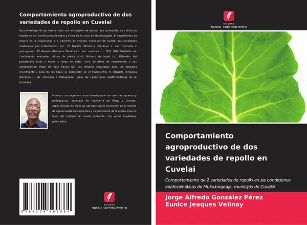 Comportamiento agroproductivo de dos variedades de repollo en Cuvelai