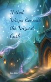 Netted Wisps Beneath the Wizard Curb Netted Wisps Beneath the Wizard Curb
